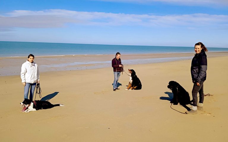 Trois femmes tenant leurs chiens en laisse longue sur une plage proche de Granville en Normandie, leurs chiens calmes à leurs pieds.