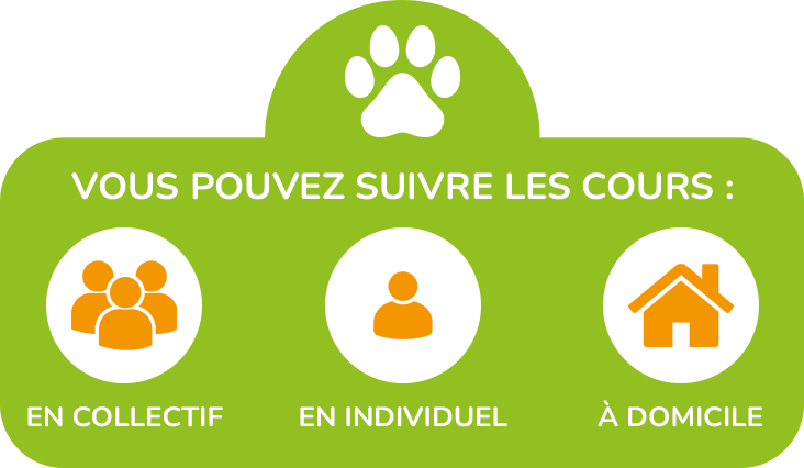 Image représentant les possibilités de suivi de cours chez Presta’Dog : Collectif, Individuel et à Domicile